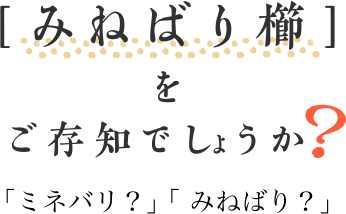 みねばり櫛をご存知でしょうか？「ミネバリ？」「みねばり？」