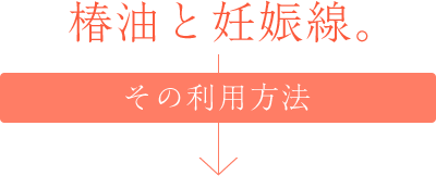 妊娠線と椿油 その利用方法